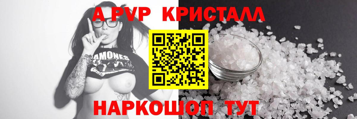 Альфа ПВП СК КРИС Курск