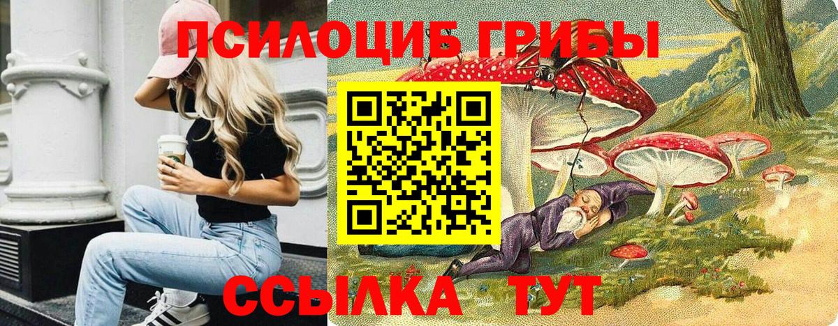 купить  сайты  Галлюциногенные грибы Psilocybe  Вход с VPN  Курск 